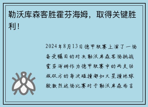 勒沃库森客胜霍芬海姆，取得关键胜利！